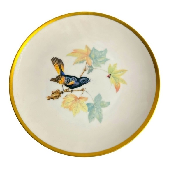 HUTSCHENREUTHER Other - Audubon Bird by HUTSCHENREUTHER